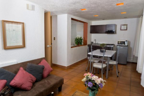 Suite 4A, Terraza, Garden House, Welcome to San Angel